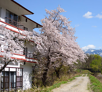 Image：Kajikaso in Onogawa Hot Springs