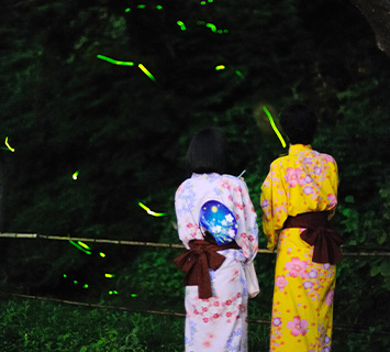 Image：Kajikaso in Onogawa Hot Springs